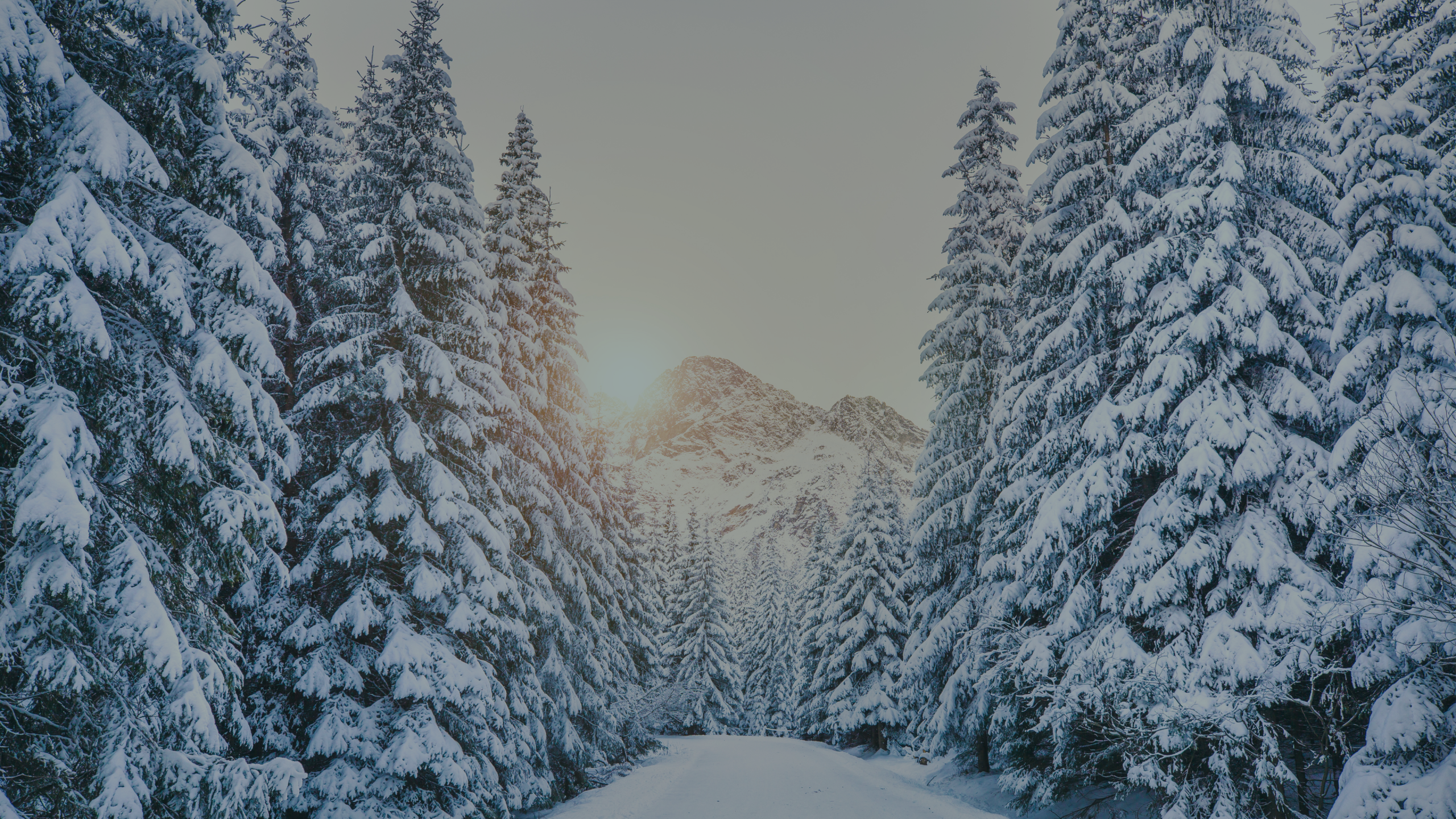 job search during the holidays